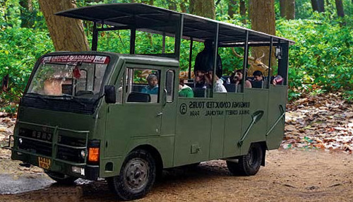 Canter Safari in Jim Corbett