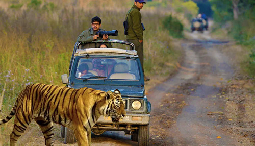 Jeep Safari in Jim Corbett