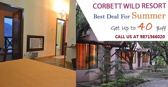 Jim Corbett Hotels, Resorts in Corbett