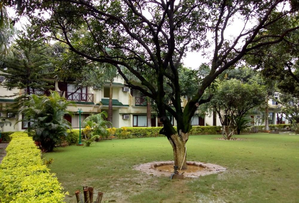 Delhi to Corbett 2 Night Packages