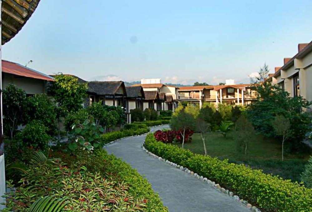 Alaya Resort New Year Package