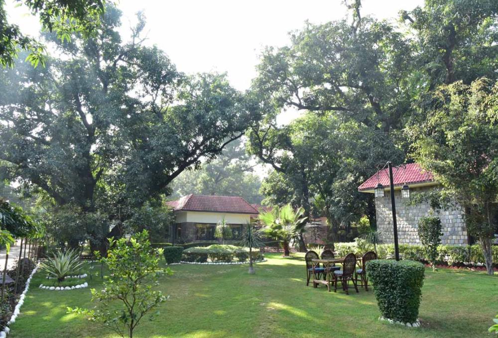 2 Nights 3 Days Package Jungle Leela Resort In corbett