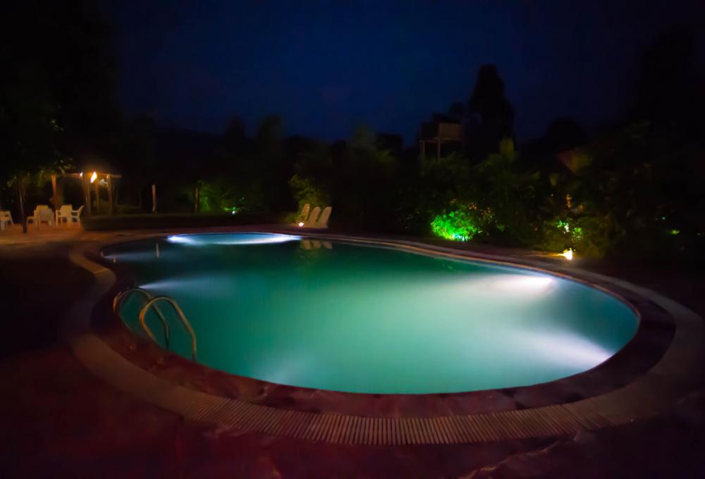 Swiming Pool Machaan Resort