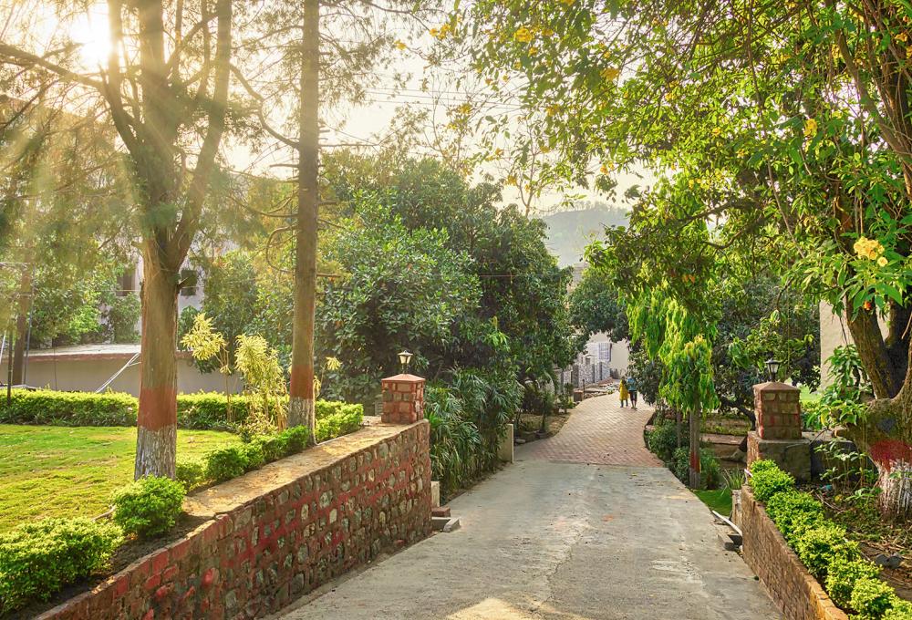 Pagoda Manu Maharani In Jim Corbett