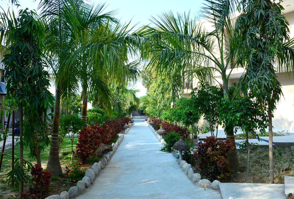 Clarissa resort corbett