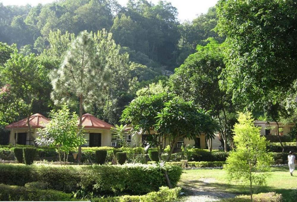 Ramganga resort In Corbett