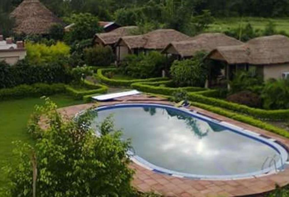 Swimming pool Alaya Resorts 