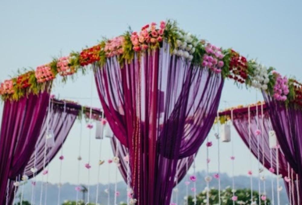 The Golden Tusk Events And Conference