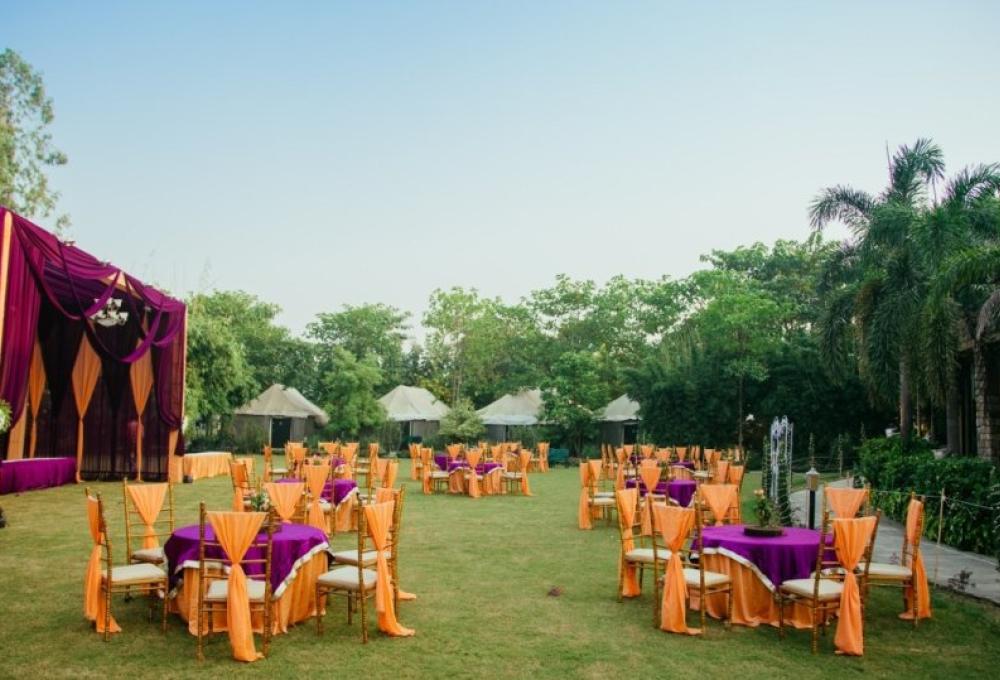 The Golden Tusk Events And Conference