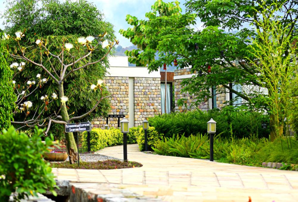 Facade The Golden Tusk