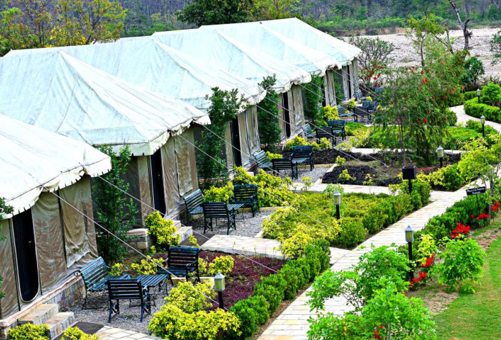 The Golden Tusk Luxury Tent