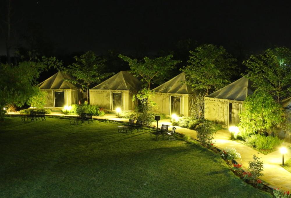 The Golden Tusk Luxury Tent