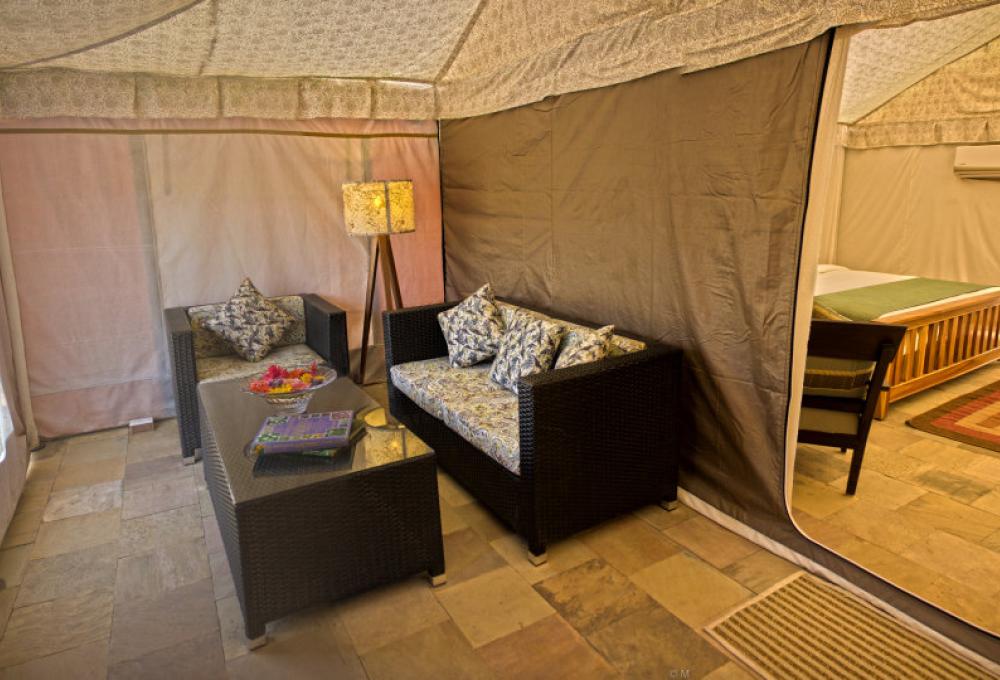 The Golden Tusk Luxury Tent