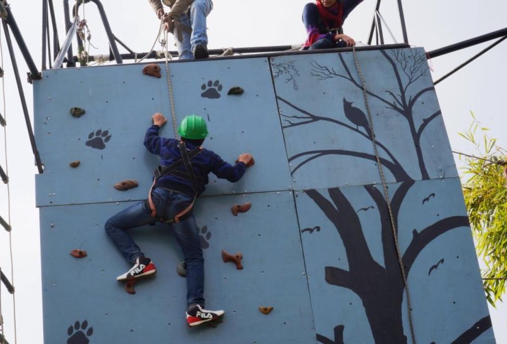 Recreation Activites The Golden Tusk