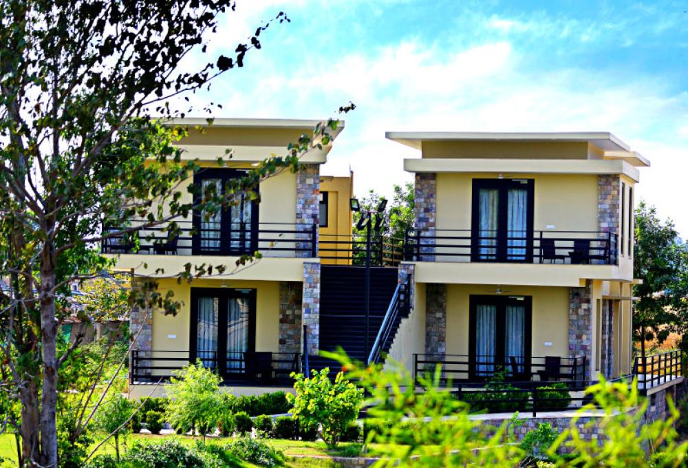 The Golden Tusk Tiger Suite