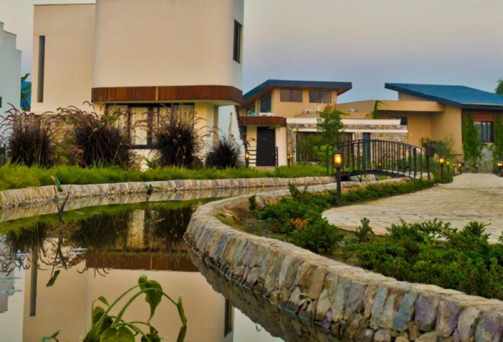 Golden Tusk In Jim Corbett