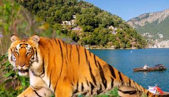 Corbett Nainital Package