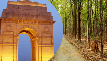 Delhi to Corbett 1 Night Package