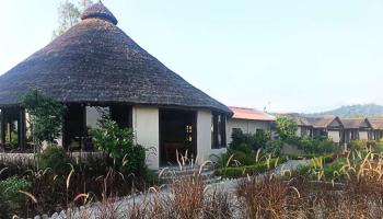 Alaya Resort New Year Package