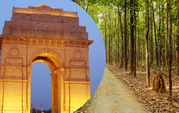 Delhi to Corbett 1 Night Package